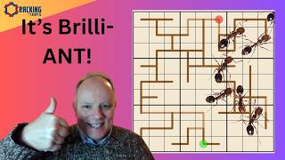 Vari-ANT Sudoku
