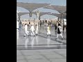 Hum Madine Me Tanha Nikal Jayenge Best WhatsApp Status