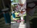 Mini Dragon Puppet How To Make A Dragon Puppet 3