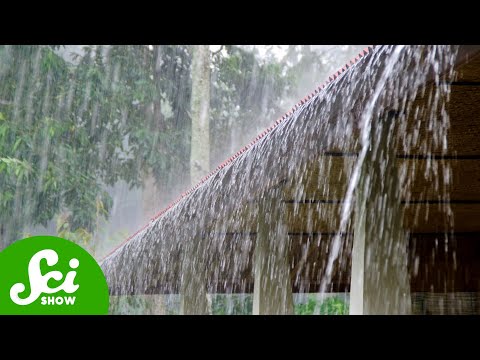 Monsoons: Nature’s Air Purifiers