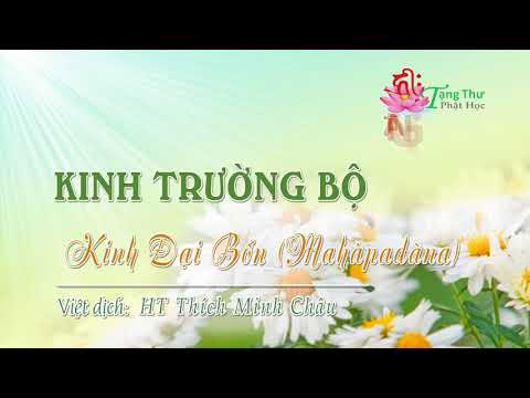 14. Kinh Ðại bổn (Mahàpadàna sutta)