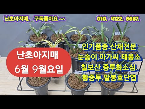 유튜브 썸네일