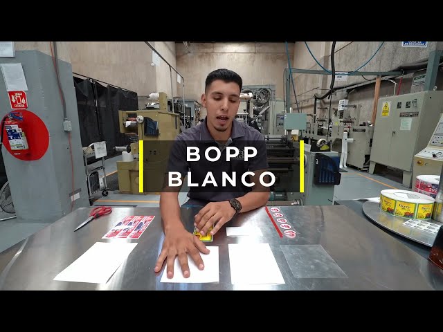 Vídeo relacionado con 4R Quattroerre.it 14026 Etiqueta Adhesiva 3D Lengua HQ, 50 x 60 mm