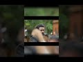 Jai Bhimhim Jai Bhim Movie Jai Bhim Movie Dailog