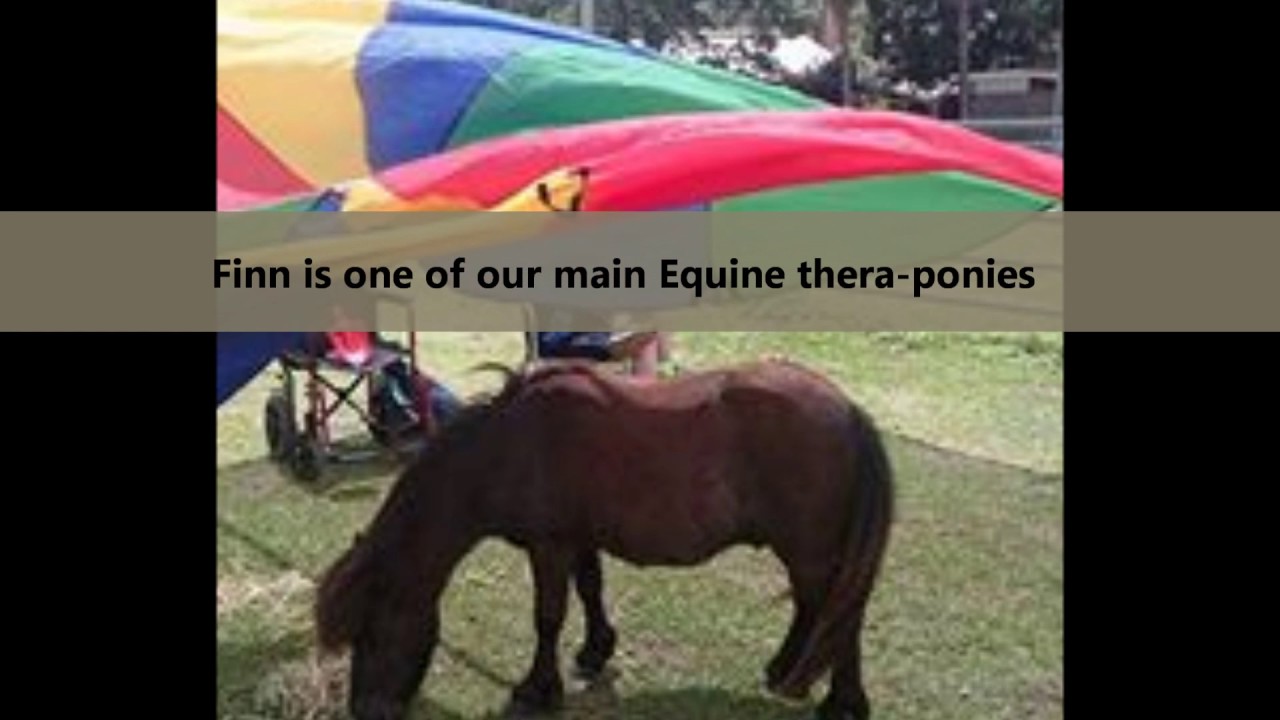 Healing Hooves Introduction