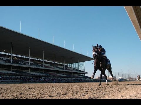 Wood Memorial Stakes (G1)  2005 -  Bellamy Road