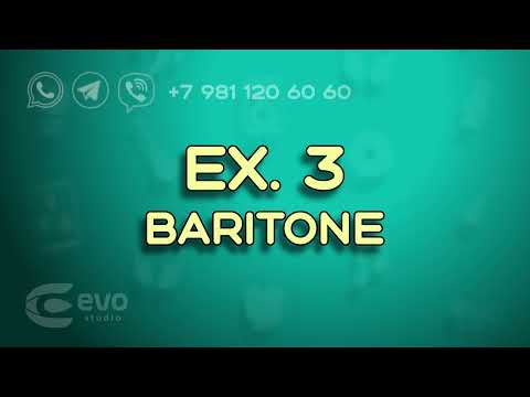 ЭVO-studio - Ex. 3 (baritone)