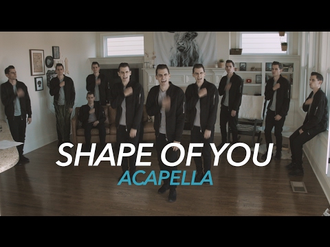 Ed Sheeran - Shape of You  [Acapella]