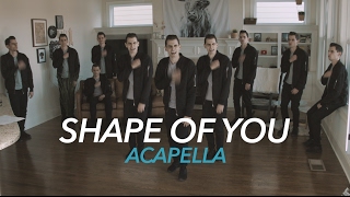 Ed Sheeran - Shape of You  [Acapella]