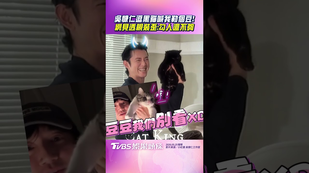 影音/吳慷仁抱黑貓狂喊「我勒個豆」! 粉絲見透視裝暈翻歪樓