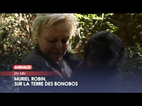 En Juin sur ANIMAUX BisTV via AERVI Boutique