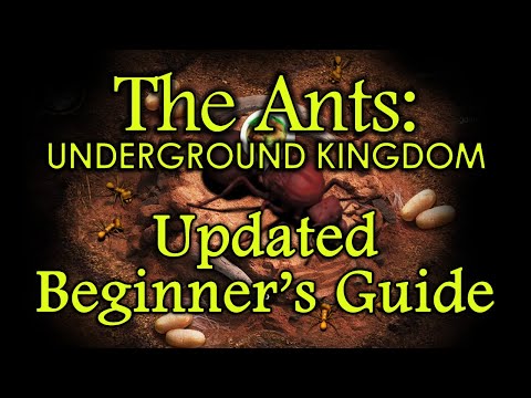 The Ants: Underground Kingdom - Updated Beginner's Guide