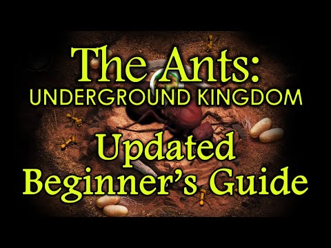 The Ants: Underground Kingdom - Updated Beginner's Guide - YouTube