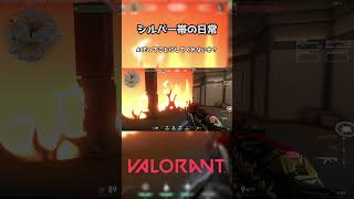 シルバー帯の日常#6 #Shorts