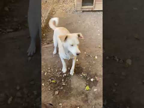 NADIRAH - Oktober 2024