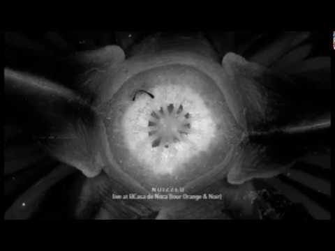 Noizzed ~ live at @Casa de Noca [tour Orange & Noir]