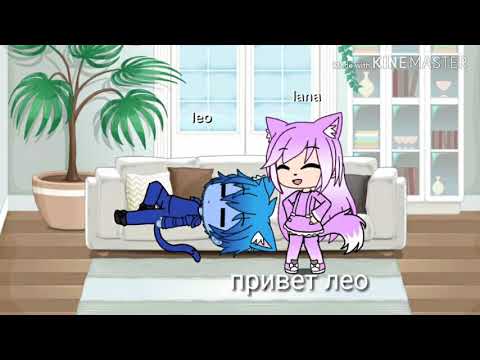Кошка лана и кот Лео в гача лайф