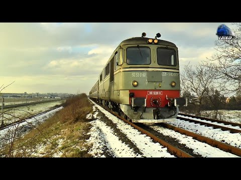 Sătmăreanca 60-1228-5 & 060-DA 60-0809-3 & LDH1250 80-0489-2 in Episcopia Bihor - 13 January 2021