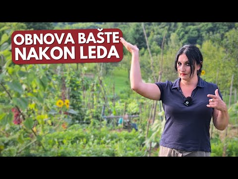 4 Steps for QUICK RESTORE of the Garden After ICE