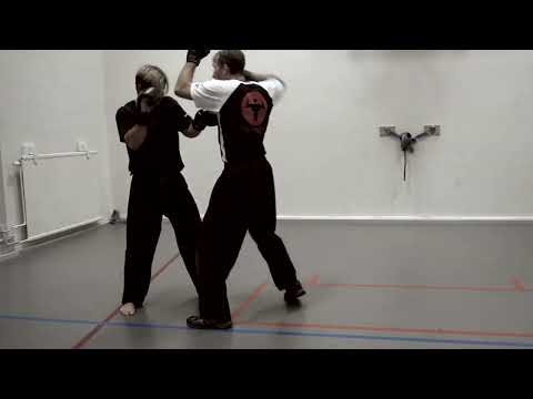 Kali Empty Hands Basics From The Archives of Kali Sikaran|