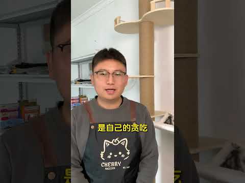 Never do these things in front of a cat#Experience sharing on keeping cats#Novice cat keep