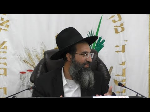 סוכות 🍃 המצווה והתורה | הרב שי עובד | שני - שבת סוכות - תשפה