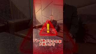 マレーシアで蚊は要注意!?🦟マレーシア虫・害虫について!⚠️