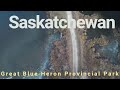 Video Thumbnail for Great Blue Heron Provincial Park
