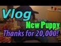 Vlog New Puppy Thank You For 20 000 Subs