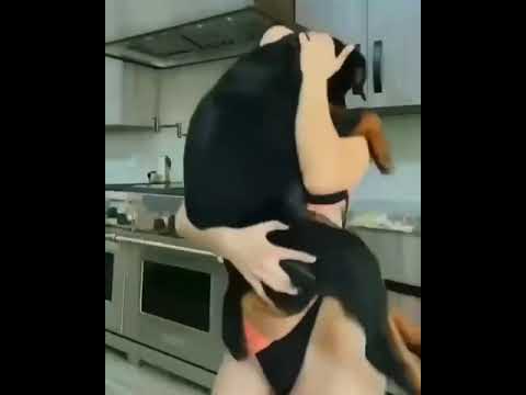 舔狗#舔美女#
