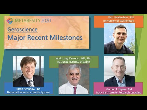 Metabesity 2020: Major Recent Milestones in Geroscience