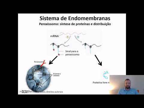 Aula 7 - Sistema de Endomembranas 2: Peroxissomo, Mitocondria e Nucleo