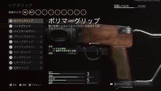 久々にパーティーでCoD