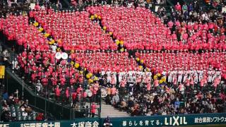 2014 センバツ高校野球　佐野日大　マグナ