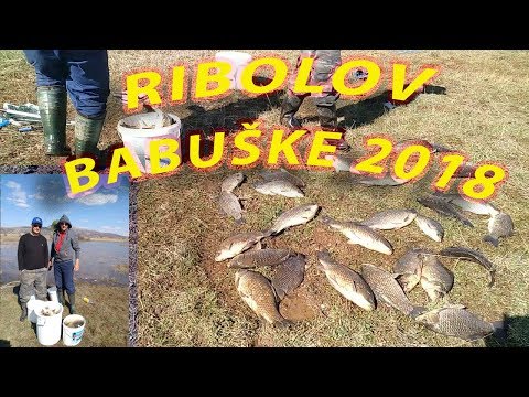 Fantastičan ribolov babuške Buško jezero april 2018 pecanje ribe ribolov na glistu fedeer fishing