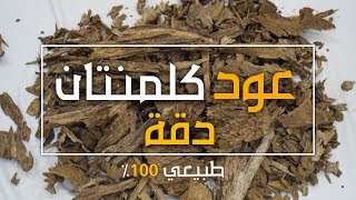 عود كلمنتان دقة | طبيعي بسعر منافس جدا