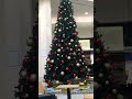 Jingle Bells Jingle Bells Shorts Shortsbeta Jinglebells Jinglebell Jingle