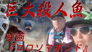#2020#夏#思い出#コロソマ　映画『コロソマポンド』