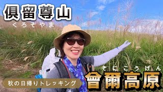 Autumn has come! From the famous pampas grass spot Soni Plateau to Mount Kurumuson, one of the ...