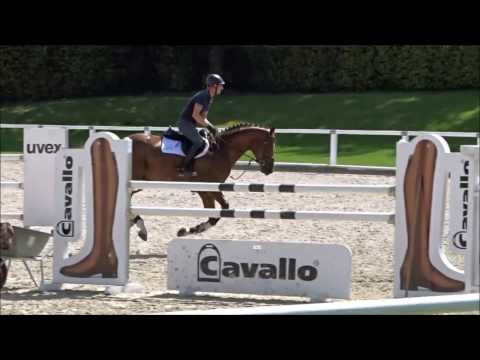 DIATHAGO Training 2016