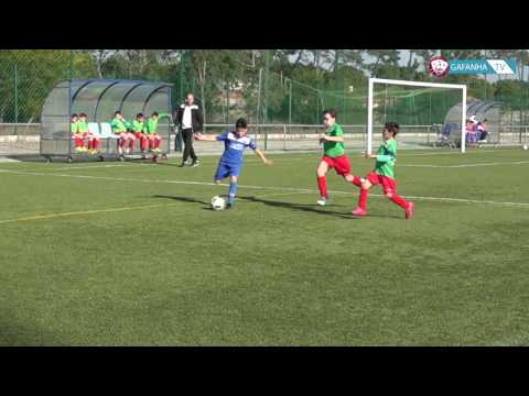 GD Gafanha vence Soutelo em Benjamins A