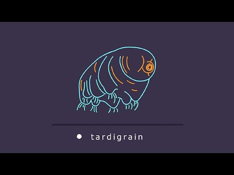 Tardigrain: The Missing Manual