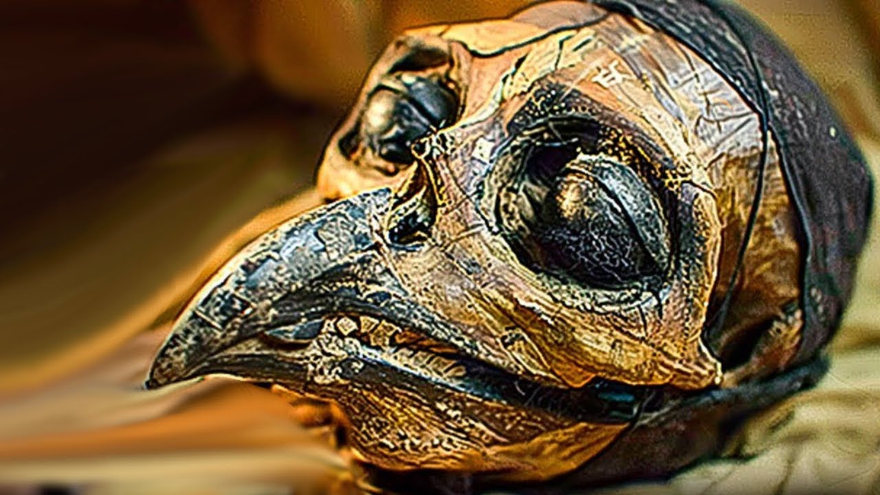 Cientistas encontram rainha de 800.000 anos no Egito e NÃO é o que você pensa