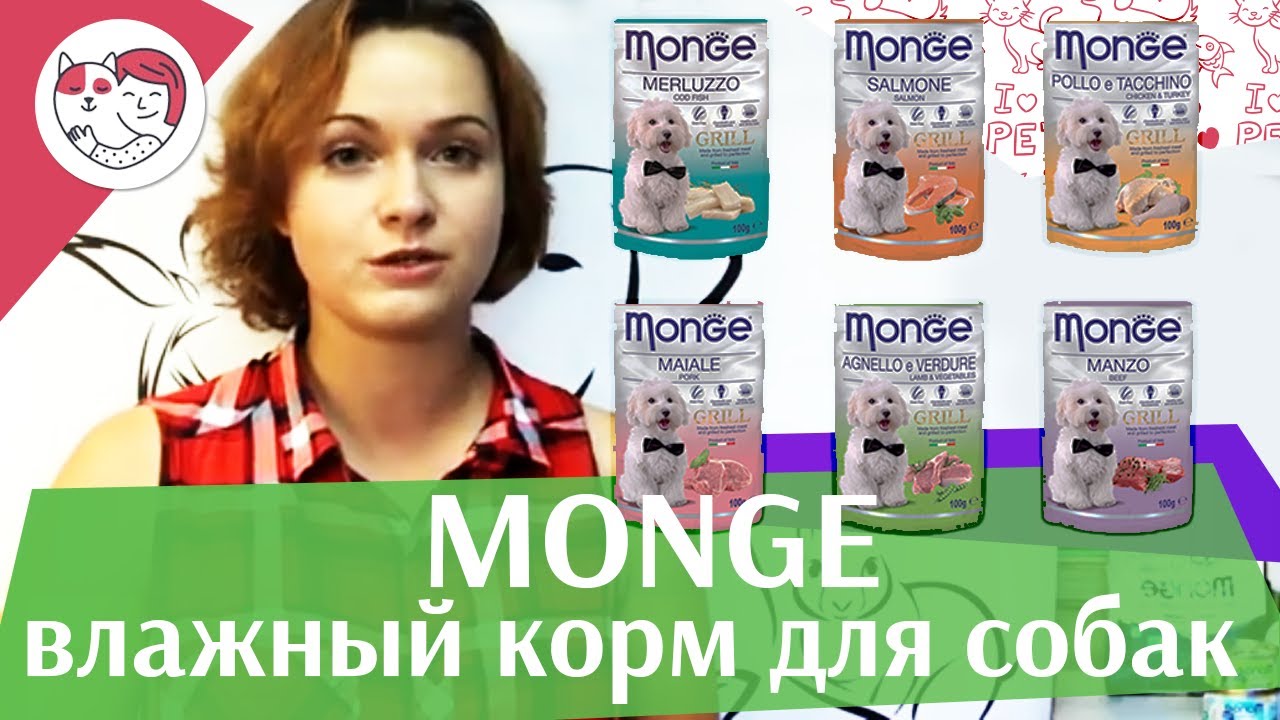 Monge паучи для собак на ilikepet