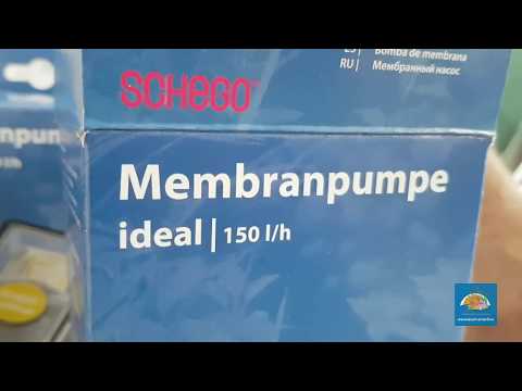 Watch Video on YouTube