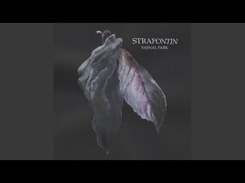 Sasnal Park (A Strange Wedding Remix)