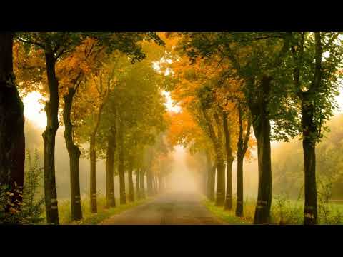 SEUM DERO x SAIBU x MARIN HOXHA - AGAIN- Lyrics video (2018)   ♫ No Copyright Music