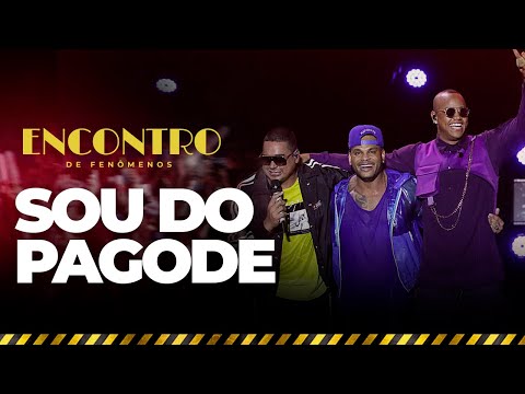 Sou do Pagode - DVD O Encontro (Ao Vivo em Salvador)