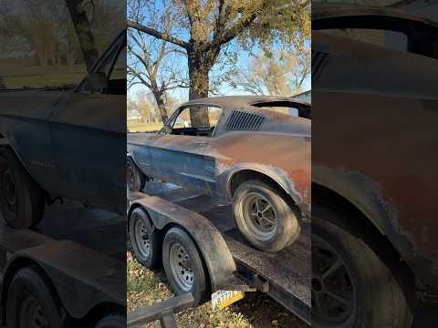 1967 Mustang fastback project 390 4 speed 67 ford racing 1968 68 Bullitt Eleanor GT 500 GT500 289