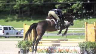 Up, Up &amp; Away: Shae(: